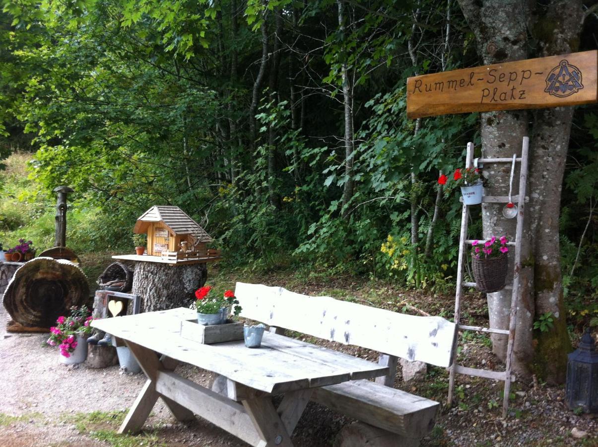 Ferienwohnung Waldblick Todtnau Zewnętrze zdjęcie