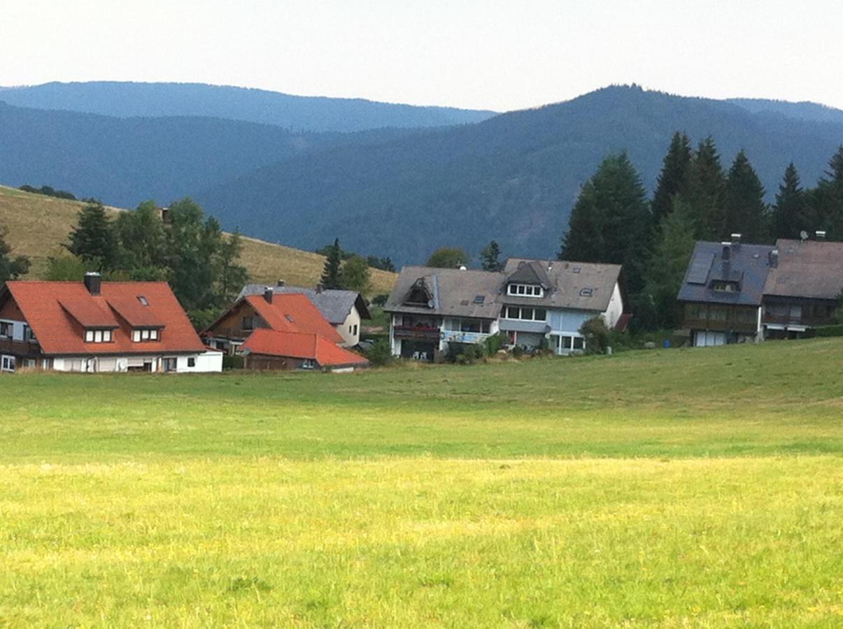 Ferienwohnung Waldblick Todtnau Zewnętrze zdjęcie